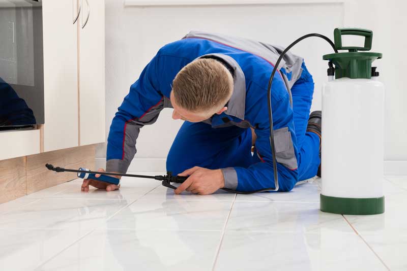 A pest control expert knelt on the floor with his equipment